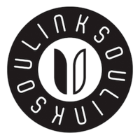 LinkSoul.png LinkSoul.png Thumbnail