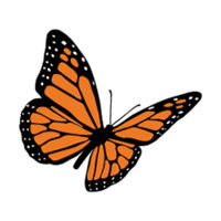 MBR Butterfly.png MBR Butterfly.png Thumbnail